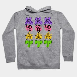 Lesbian Pride Flag in Symbols! (Redesign, Maya Kern Flag) Hoodie